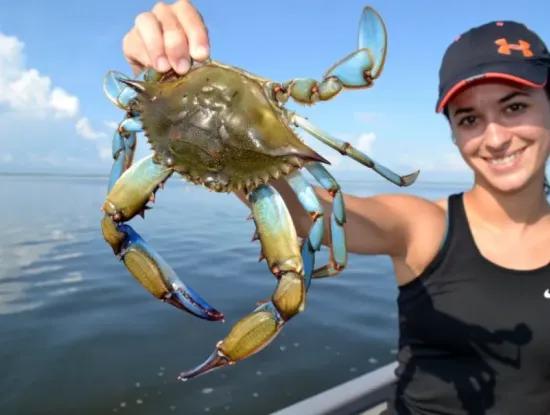 Dalyan Blue Crab Bootstour