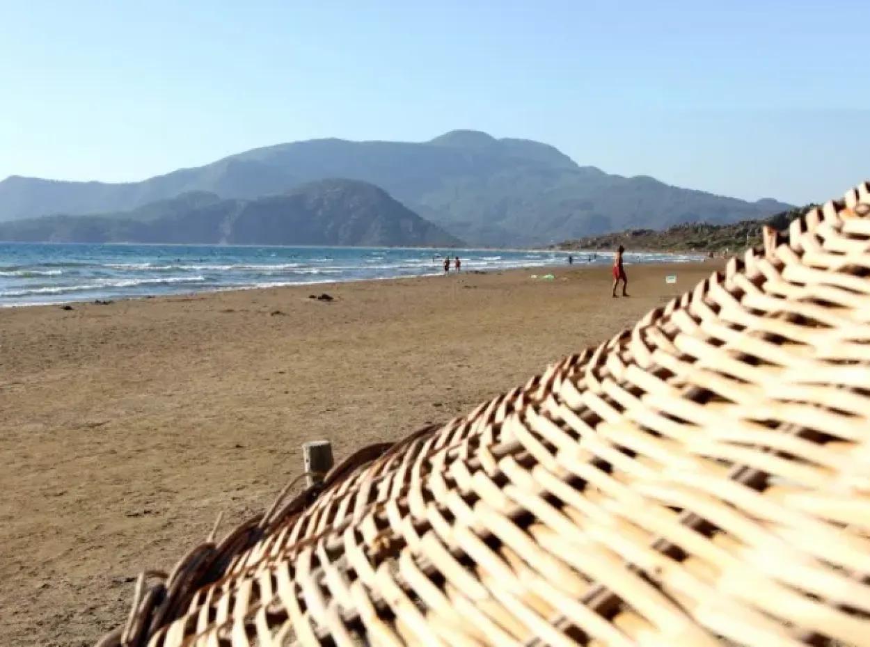 Iztuzu Turtle Beach Tour